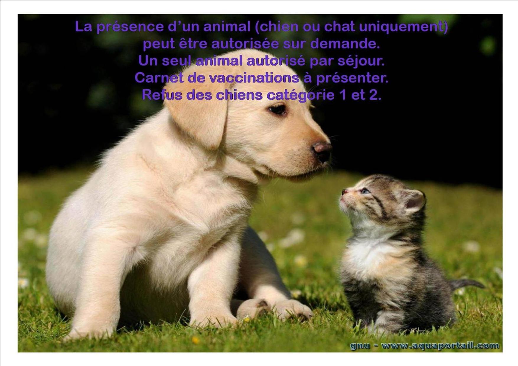 Le Gite Du Frene Poses Bagian luar foto